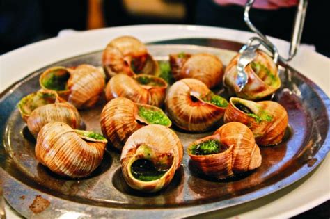 An Exploration of the Sensational World of Snail Cuisine