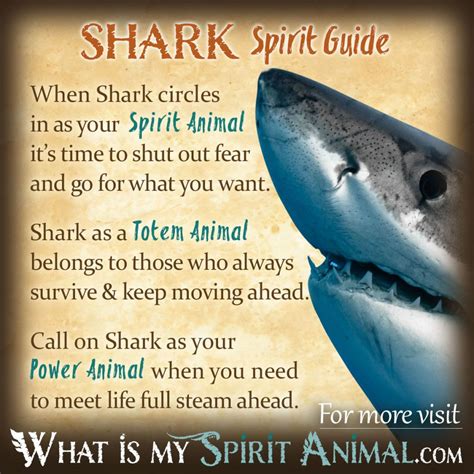 An In-Depth Look at the Symbolic Meaning of the Shark