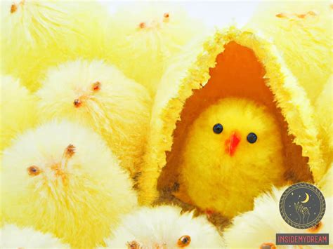 An Insight into Symbolism and Meaning of Dreaming about Baby Chicks