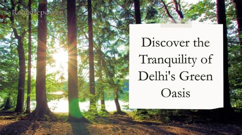 An Oasis of Serenity: Escaping the Chaos of the City