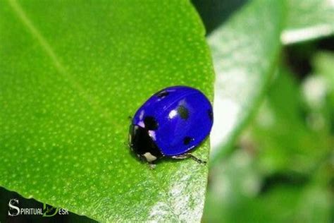 An Unexpected Visitor: Delve into the Symbolism of a Blue Ladybug Encounter