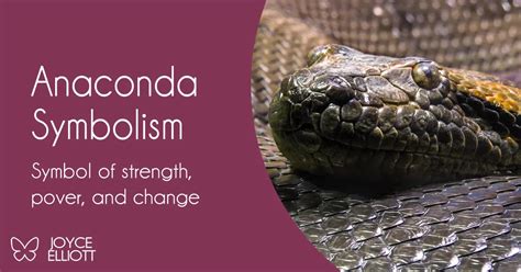 Anaconda: The Symbol of Power and Control