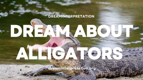 Analyze Your Emotions: Deciphering Alligator Dream Scenarios