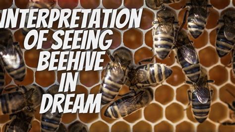 Analyzing the Cooperative Nature of Beehives as Dream Symbols