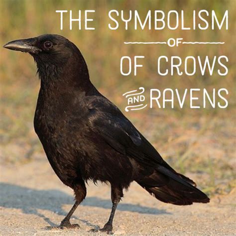 Analyzing the Cultural Symbolism of Crows in Literature and Art