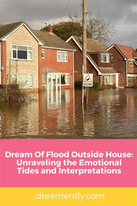 Analyzing the Emotional Impact of a Brown Flood Dream