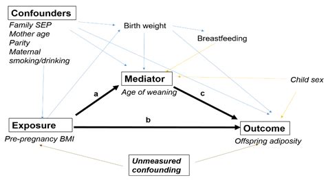 Analyzing the Maternal-Offspring Connection