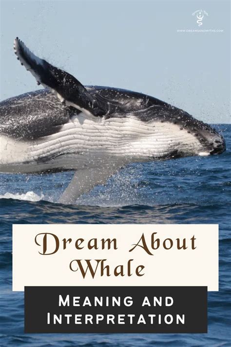 Analyzing the Possible Meanings of Ingesting Marine Mammals in Dreams