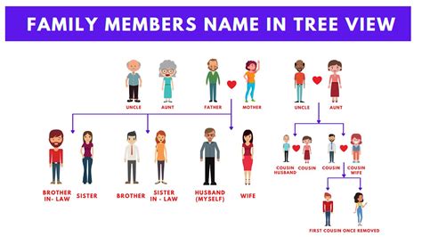 Analyzing the Relationship with the Family Member