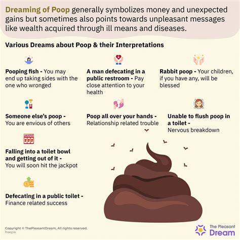 Analyzing the Role of Feces in Dreams