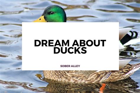 Analyzing the Significance of Actions and Behaviors Involving Ducks in Your Dream