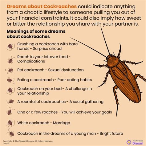 Analyzing the Significance of Cockroaches in Dreams