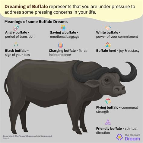 Analyzing the Significance of the Buffalo in Dream Scenarios