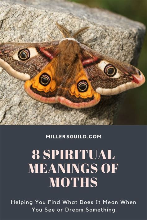 Analyzing the Spiritual Significance of a Departed Moth Vision