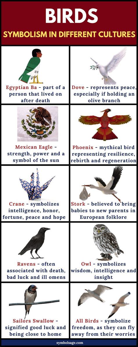 Analyzing the Various Avian Species and Their Potential Symbolism in the Interpretation of Dreams