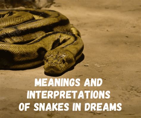 Analyzing the Various Explanations of a Dream Involving a Serpent's Head