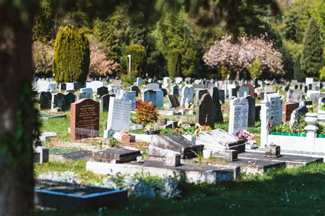 Ancestral Connections: The Allure of a Family Burial Ground