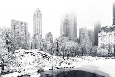 Anticipation: Experiencing the Joy of Awaiting Winter's First Snowflake