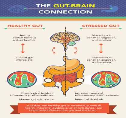 Anxiety and Stress: Understanding the Connection Between Digestive Discomfort in Dreams and Mental Health