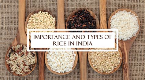 Applying the Significance of the Grain of Rice in Everyday Life