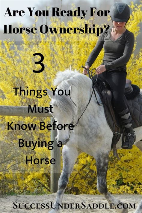 Assessing Your Readiness for Horse Ownership