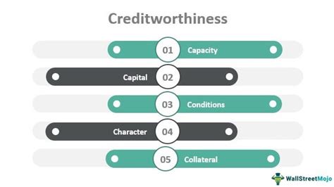 Assessing the Borrower's Creditworthiness: