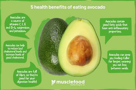 Avocado Pear and Skin Health