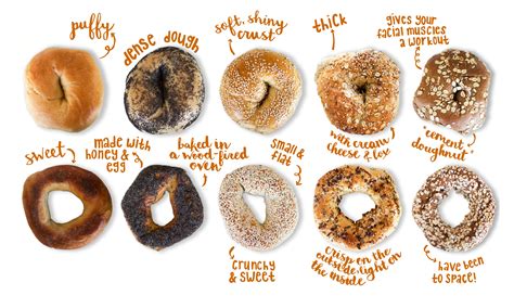 Bagel Types and Variations Around the Globe