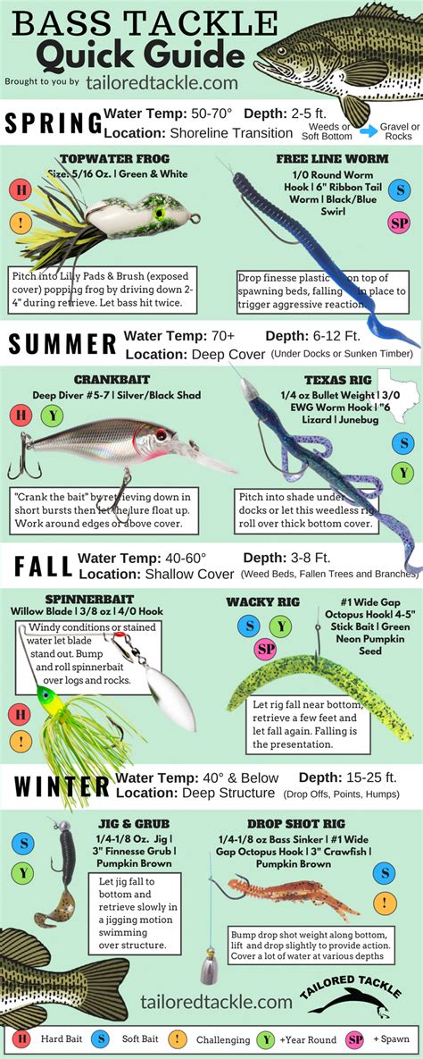 Bait Selection: Lures and Natural Baits that Attract Bass Powerfully