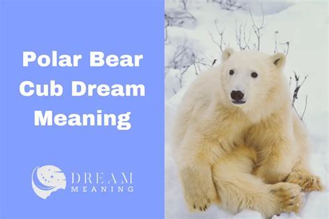 Bear Dreams and Personal Transformation: Decoding their Significance