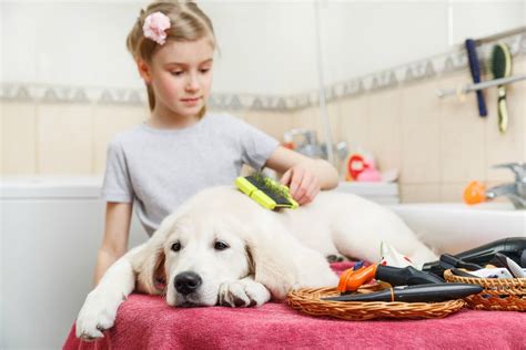 Begin with a Grooming Session