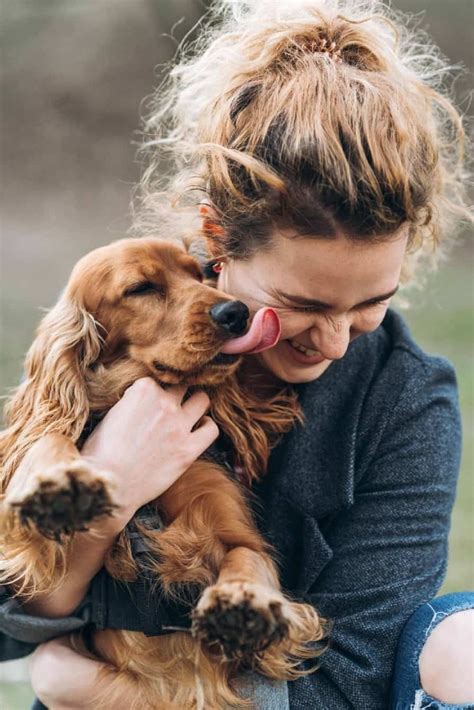 Benefits for Both Sides: How Dogs' Affection Positively Impacts Humans