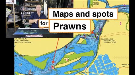 Best Spots for Prawn Fishing: Discover the Ideal Locations