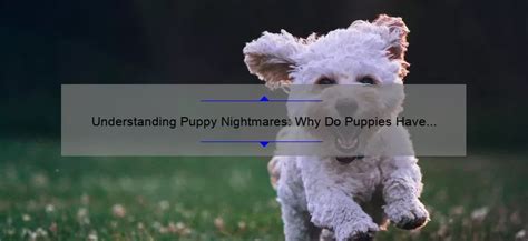 Beyond Nightmares: Understanding the Origins of Dreams Involving Puppies and Consumption