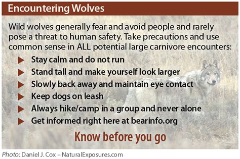 Beyond fear and danger: Discovering the positive implications of a wolf encounter