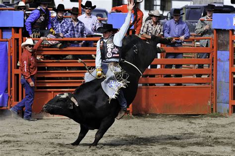 Beyond the Arena: The Impact of Bull Riding on Western Culture