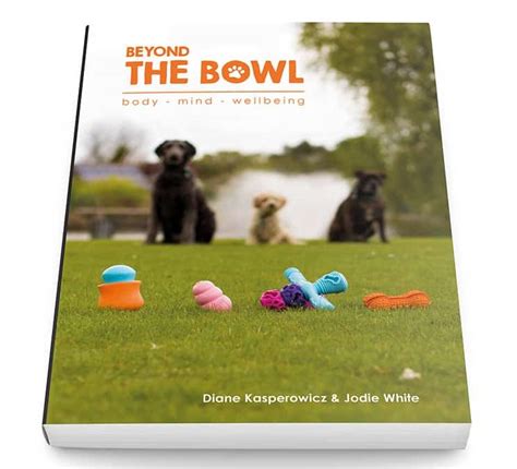 Beyond the Bowl: Exploring the Range of Canine Mealtime Imaginings