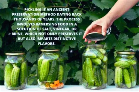 Beyond the Cucumber: Surprising Varieties of Pickles from Around the Globe