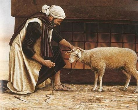 Biblical References: The Symbolic Significance of the Lamb in Sacrifice and Redemption