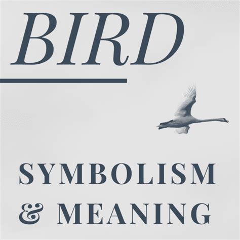 Bird Bones in Ancient Cultures: From Omens to Symbolic Representations