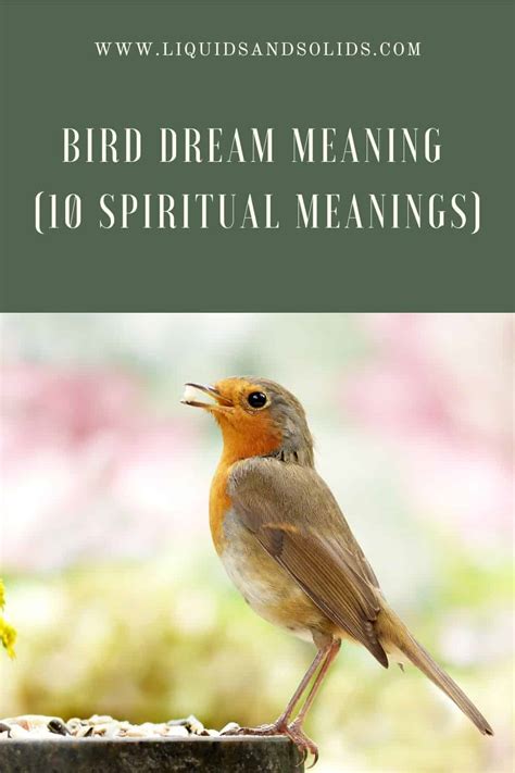 Bird Dreams and Spiritual Awakening