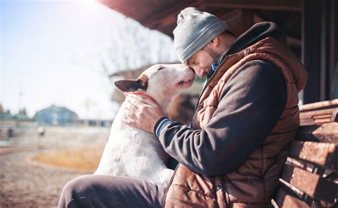 Bonding Activities: Strengthening the Relationship with Your Canine Companion