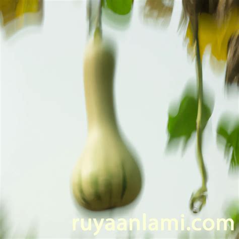 Bottle Gourd Dreams: A Reflection of Personal Growth and Transformation