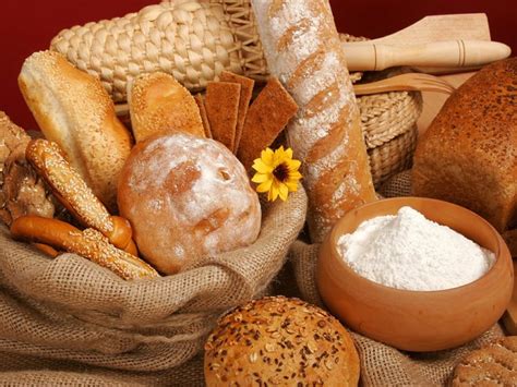 Bread: A Culinary Staple with Profound Historical Origins