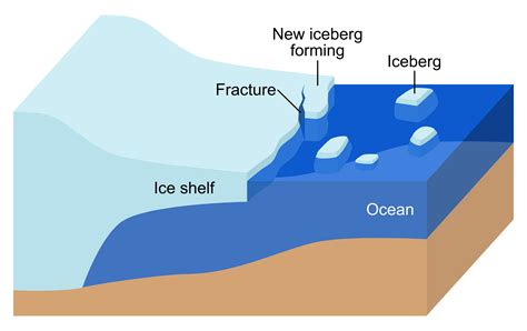 Breaking Free: The Astonishing Process of Iceberg Calving