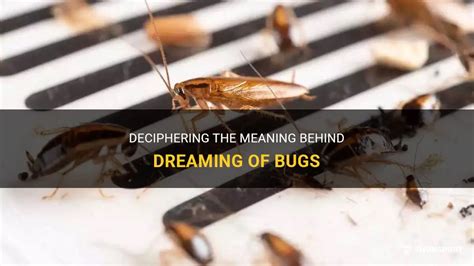 Bugs in Your Dreams: Deciphering the Intricate Significance