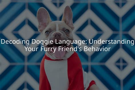 Canine Conversations: Decoding the Language of our Furry Friends