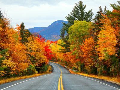 Capturing the Beauty: Tips for Photographing the Enchanting Autumn Foliage