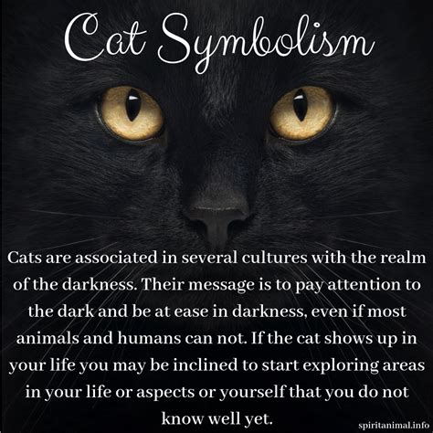 Cat Symbolism: Unveiling the Dark and Enigmatic Traits