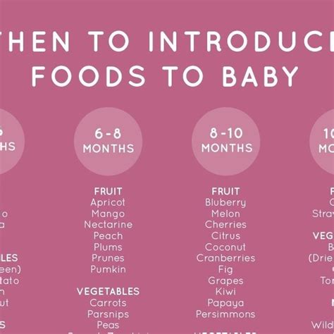 Celebrating Milestones: The Journey of Introducing Solid Foods